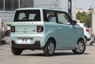 2023款 熊猫mini 120km 超萌熊-外观-图片-有驾