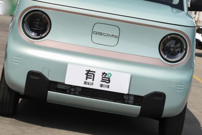 2023款 熊猫mini 120km 超萌熊-外观-图片-有驾