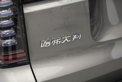2024款 1.5T DCT拉布拉多版-外观-图片-有驾