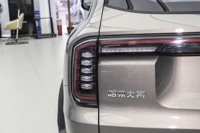 2024款 1.5T DCT拉布拉多版-外观-图片-有驾