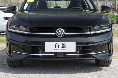 2026款 380TSI DSG尊贵版35周年严选款-外观-图片-有驾