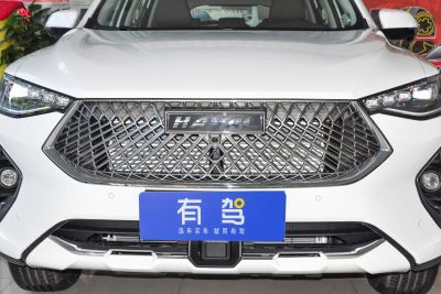 2021款 2.0T 四驱i悦-外观-图片-有驾