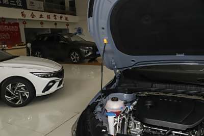 2026款 第4代 400万纪念款 1.5L CVT飞越型-外观-图片-有驾