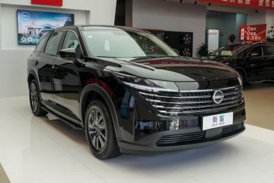 2024款 380VC-TURBO 两驱智享版 7座-外观-图片-有驾