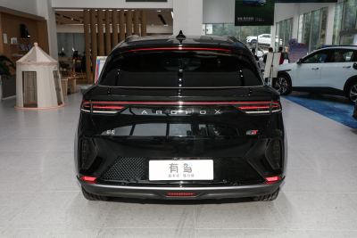 2024款 600D 森林版PRO 320kW-外观-图片-有驾