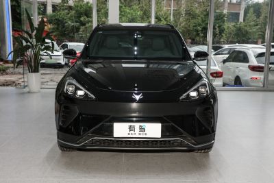 2024款 600D 森林版PRO 320kW-外观-图片-有驾