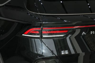 2024款 600D 森林版PRO 320kW-外观-图片-有驾