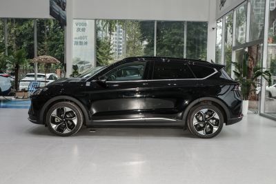 2024款 600D 森林版PRO 320kW-外观-图片-有驾