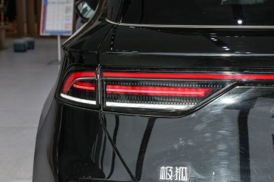 2024款 600D 森林版PRO 320kW-外观-图片-有驾