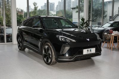 2024款 600D 森林版PRO 320kW-外观-图片-有驾