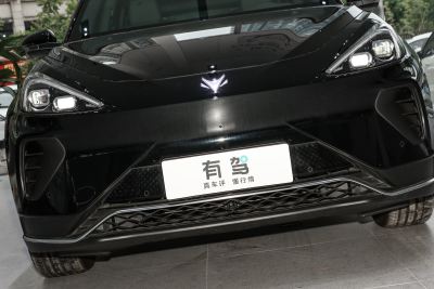 2024款 600D 森林版PRO 320kW-外观-图片-有驾