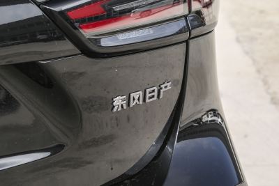 2025款 荣誉 2.0L CVT XV真心版-外观-图片-有驾