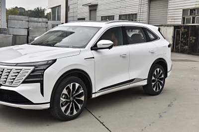 2025款 第四代 UItra 2.0T 新蓝鲸 智慧劲擎型-外观-图片-有驾