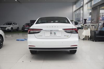 2022款 EV 500天幕特别版-外观-图片-有驾