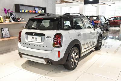 2023款 改款 2.0T COOPER S ALL4 不羁特别版-外观-图片-有驾