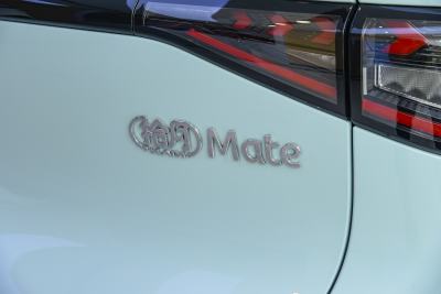 2025款 Mate 410km追风版-外观-图片-有驾