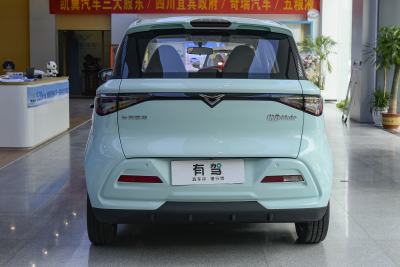 2025款 Mate 410km追风版-外观-图片-有驾