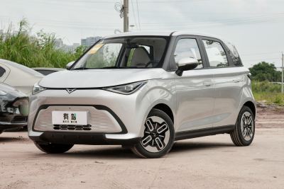 2025款 Mate 300km追风版-外观-图片-有驾