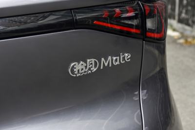 2025款 Mate 410km追风版-外观-图片-有驾