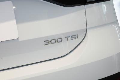 2023款 300TSI DSG舒适版-外观-图片-有驾