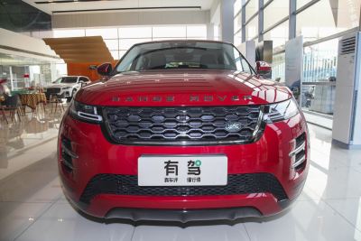 2022款 极光L 200PS R-Dynamic Standard 精英版-外观-图片-有驾