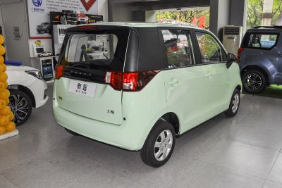 2022款 10.36kWh 乐熊S 标准型-外观-图片-有驾