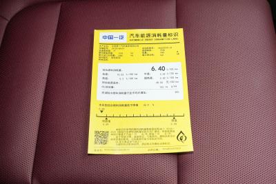2026款 2.0T 自动旗畅Pro版-外观-图片-有驾