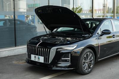 2026款 2.0T 自动旗畅Pro版-外观-图片-有驾