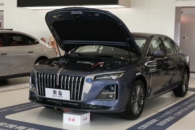 2026款 2.0T 自动旗畅Pro版-外观-图片-有驾