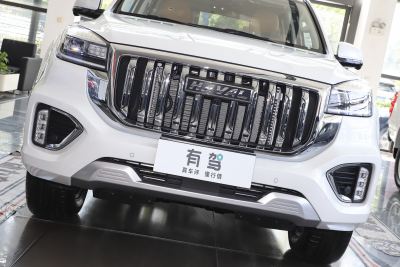2022款 2.0T 汽油四驱豪华型 7座-外观-图片-有驾 2022款 2.0T 汽油四驱豪华型 7座-外观-图片-有驾
