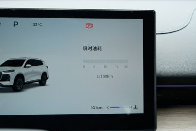 2025款 290TGDI DCT尊贵型 7座-内饰-图片-有驾