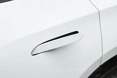 2025款 520 智选版-外观-图片-有驾