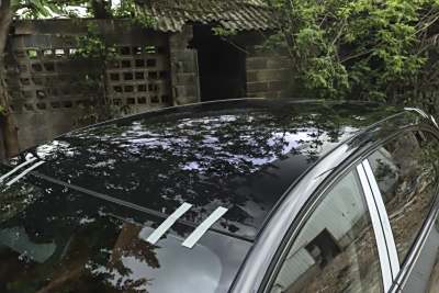 2025款 520 智选版-外观-图片-有驾