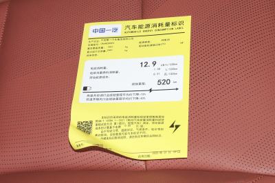 2025款 520 智选版-外观-图片-有驾