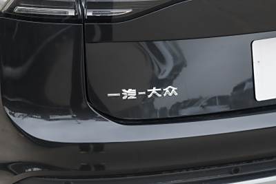 2026款 3000万辆甄选款 300TSI-外观-图片-有驾
