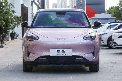 2026款 480km 探索+版-外观-图片-有驾