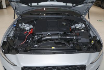 2025款 2.0T 250PS R-DYNAMIC 90周年典藏版-外观-图片-有驾
