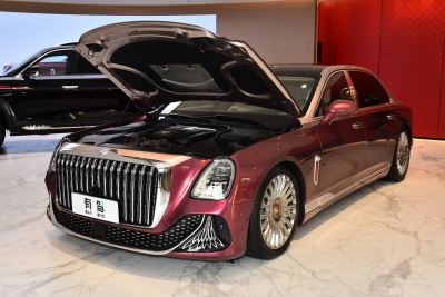 2024款 4.0T V8版-外观-图片-有驾
