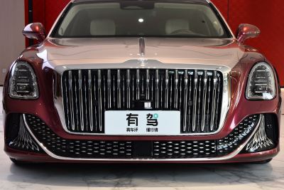 2024款 4.0T V8版-外观-图片-有驾