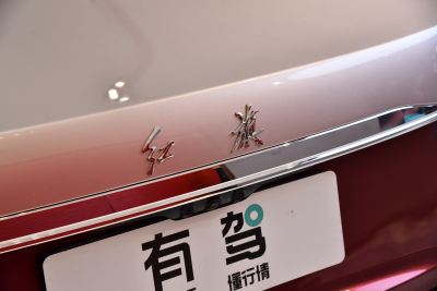 2024款 4.0T V8版-外观-图片-有驾