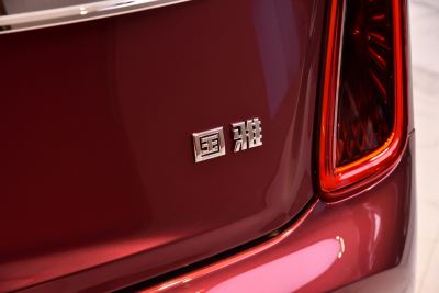 2024款 4.0T V8版-外观-图片-有驾