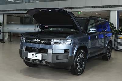 2025款 190KM四驱Max版-外观-图片-有驾