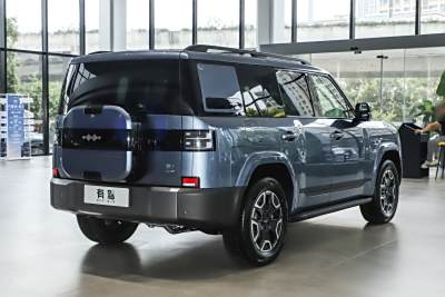 2025款 190KM四驱Max版-外观-图片-有驾