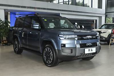 2025款 190KM四驱Max版-外观-图片-有驾