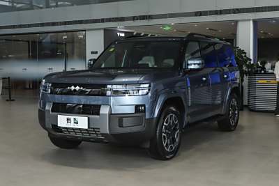 2025款 190KM四驱Max版-外观-图片-有驾