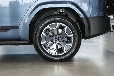 2025款 190KM四驱Max版-外观-图片-有驾