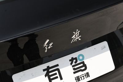 2025款 500km 出行版-外观-图片-有驾