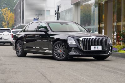 2024款 3.0T V6版-外观-图片-有驾