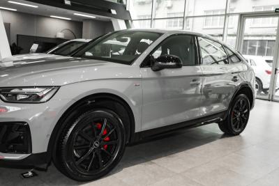 2025款 quattro 45周年典藏版 40 TFSI 豪华型-外观-图片-有驾