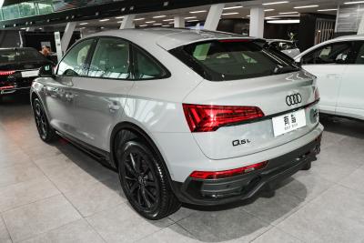 2025款 quattro 45周年典藏版 40 TFSI 豪华型-外观-图片-有驾